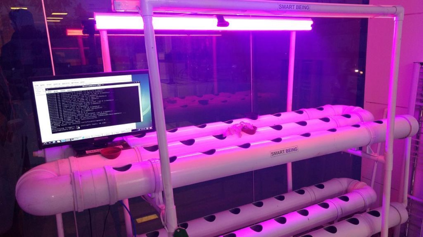 Smart Being — Feeding the Future